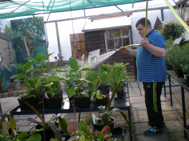 Horticap LD