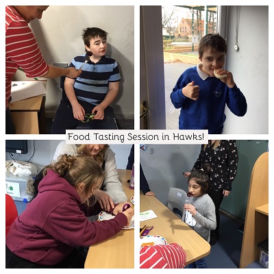 food tasting collage